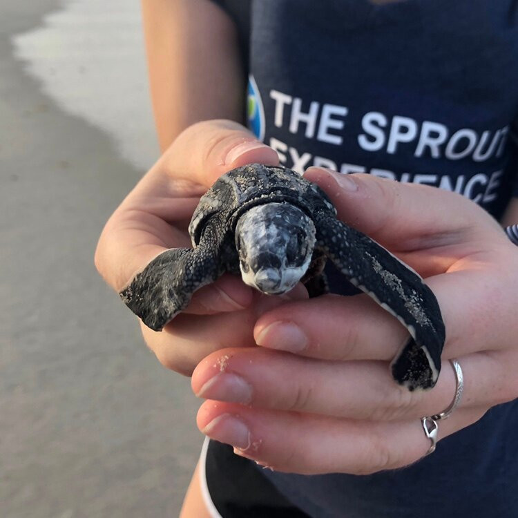 The Sprout Experience-克利夫兰必去景点