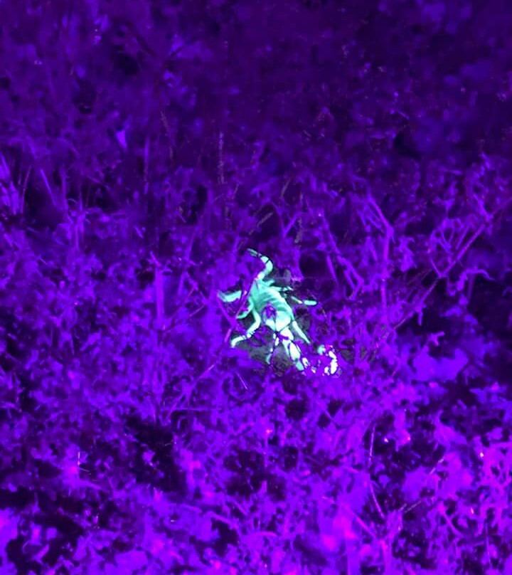 Peimot Midbar-Ein Yahav必去景点