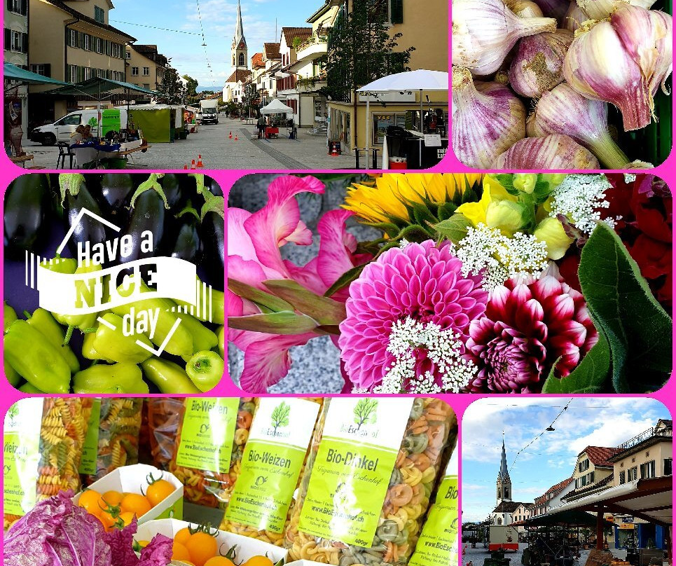 Wochenmarkt Pfäffikon
