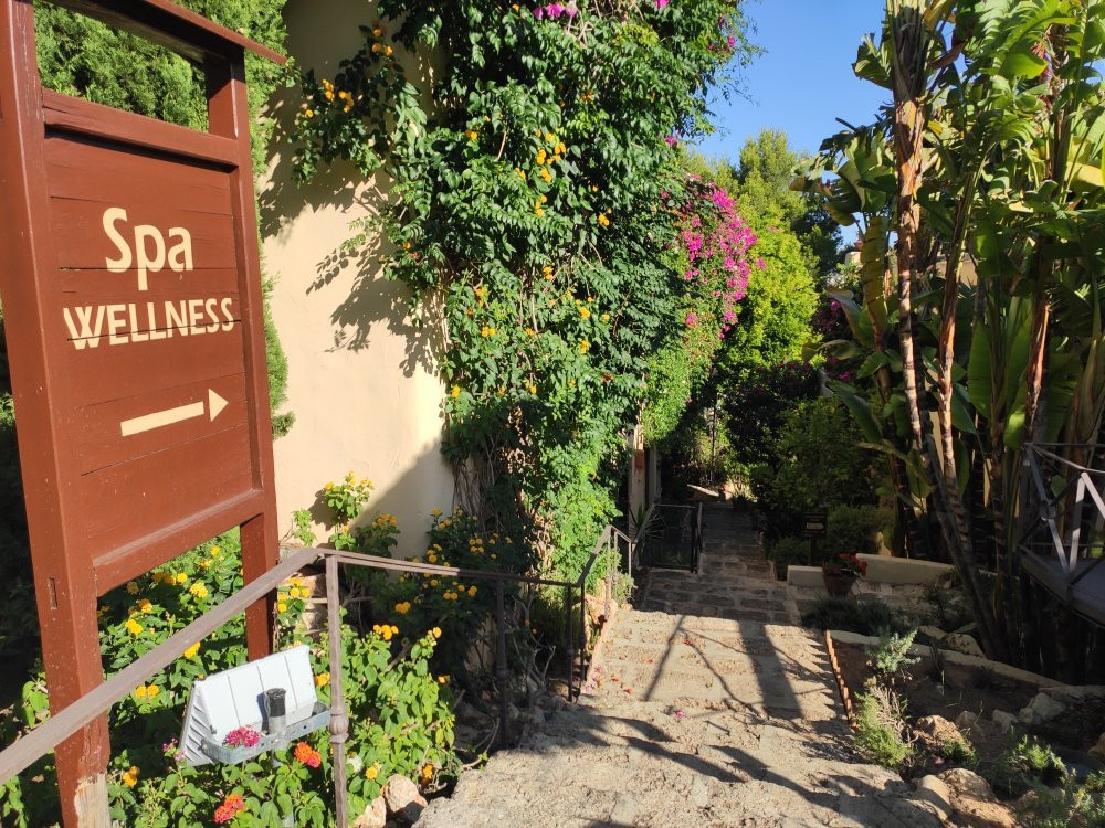 Hotel El Rodat主图