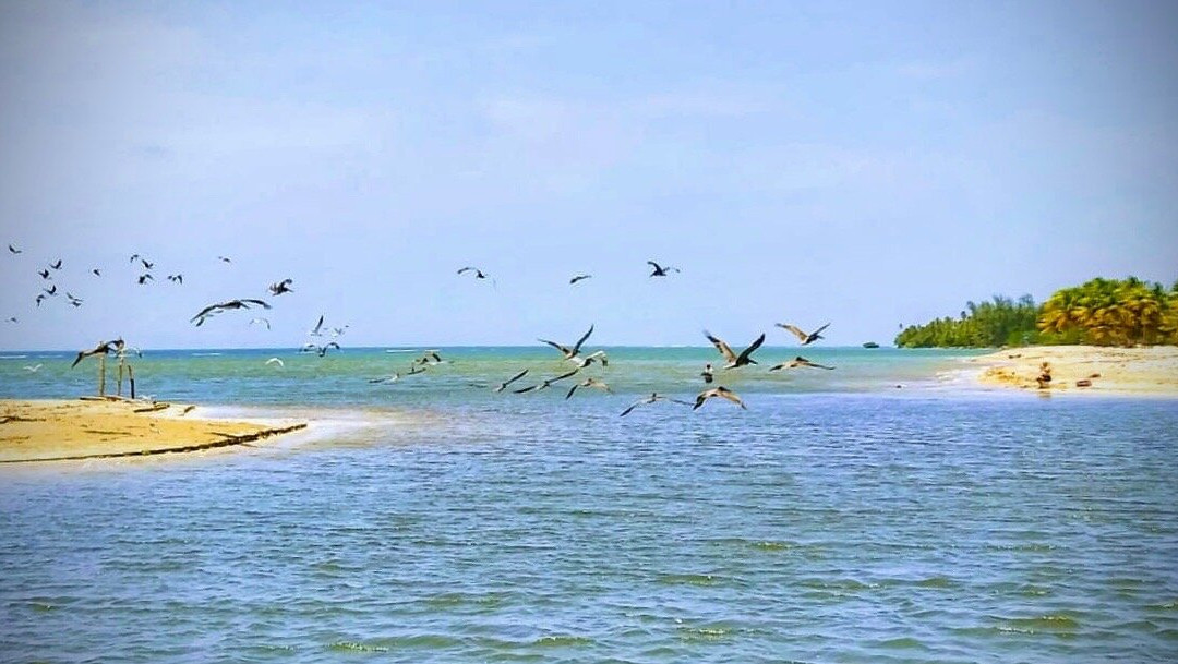 La Paseadora del Río Espíritu Santo-Rio Grande必去景点