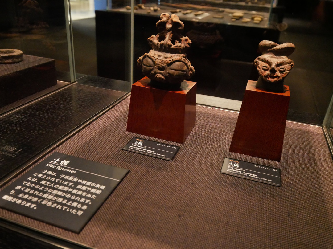 Korekawa Archaeological Institution-八户市必去景点