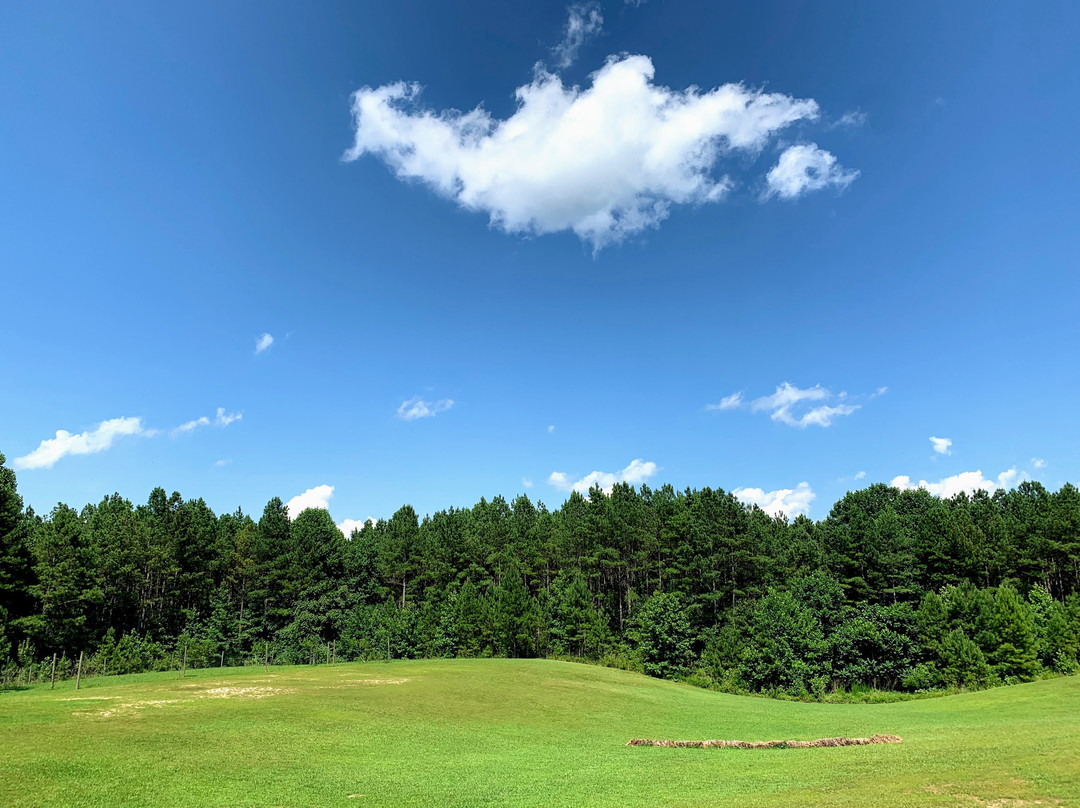 Gracefield Hall Bed and Breakfast主图