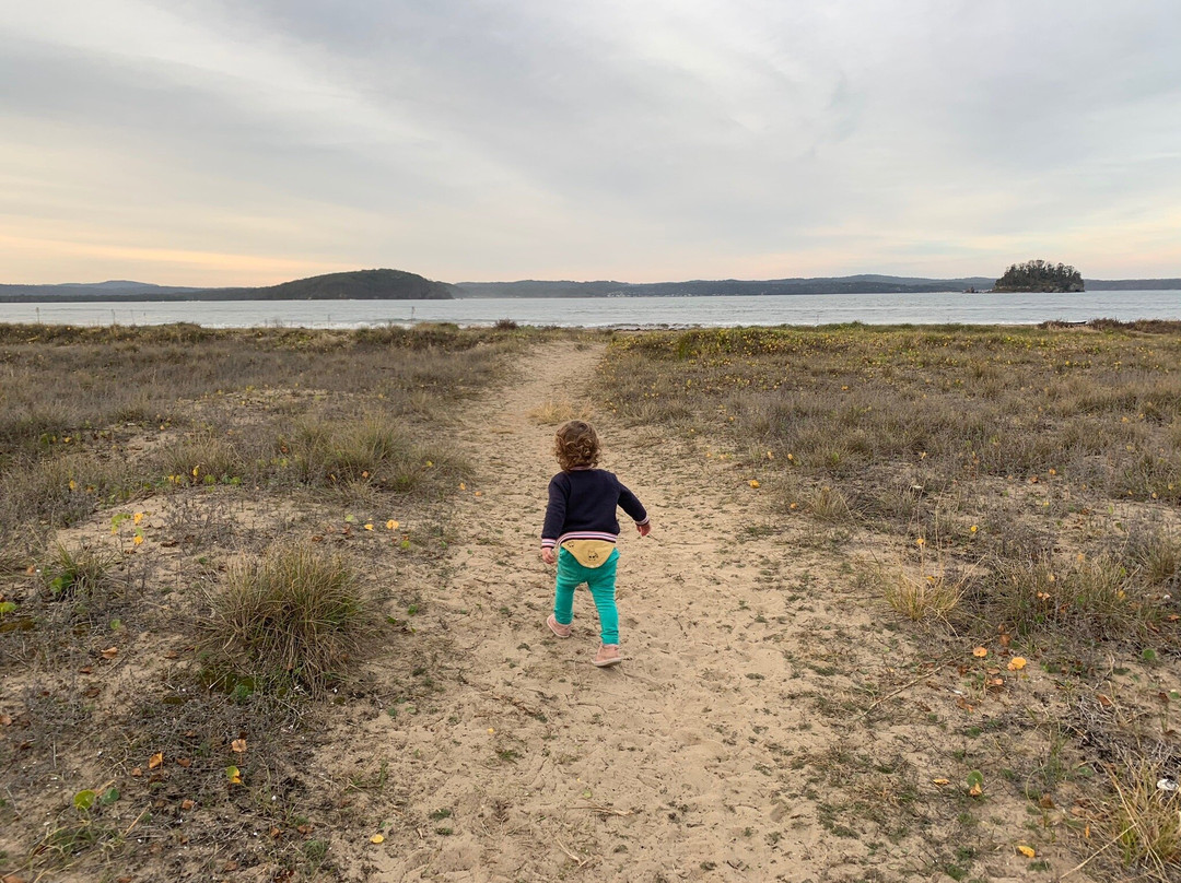 阿拉鲁恩汽车小屋主图