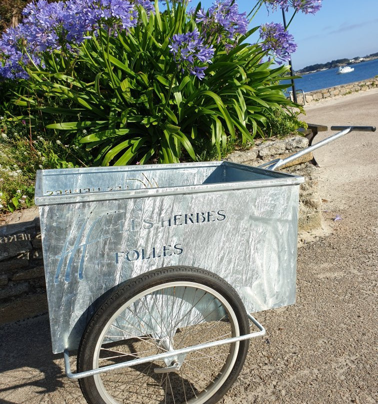 Les Herbes Folles主图