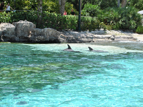 Miss Lady Concierge Services-拿骚必去景点