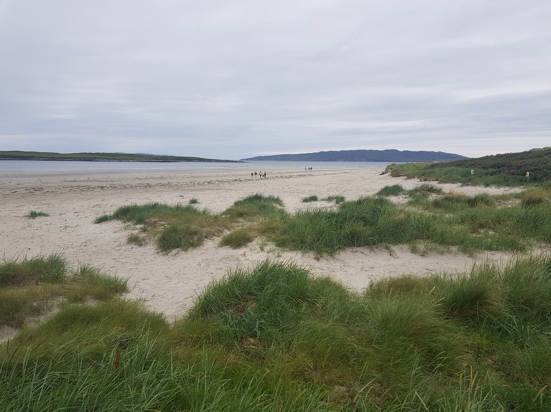 The Viking House Hotel主图