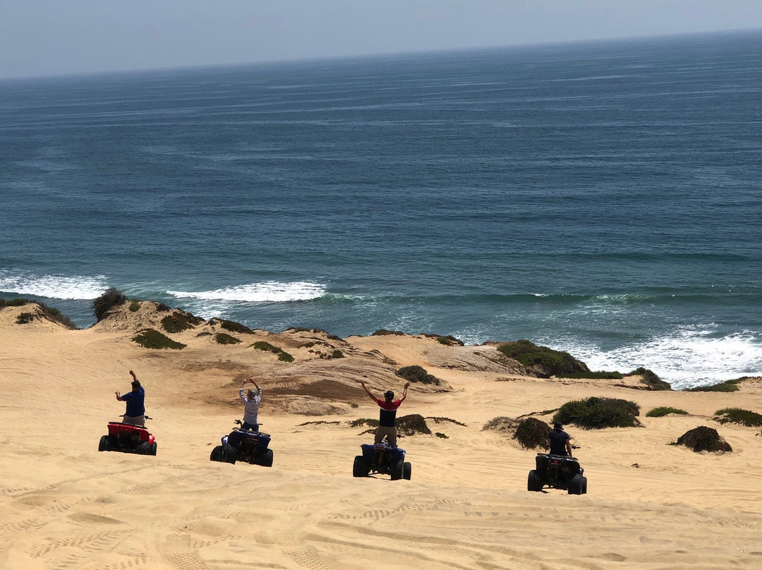Experiencias baja tours & actividades景点图片