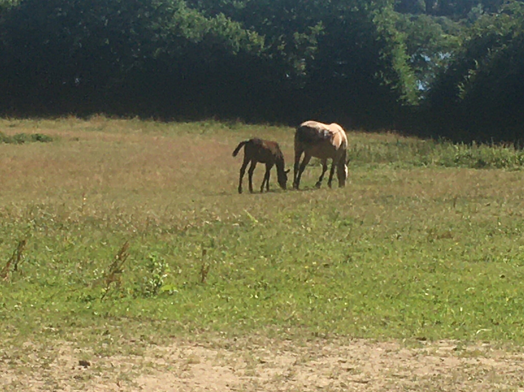 Hameau des Grilles