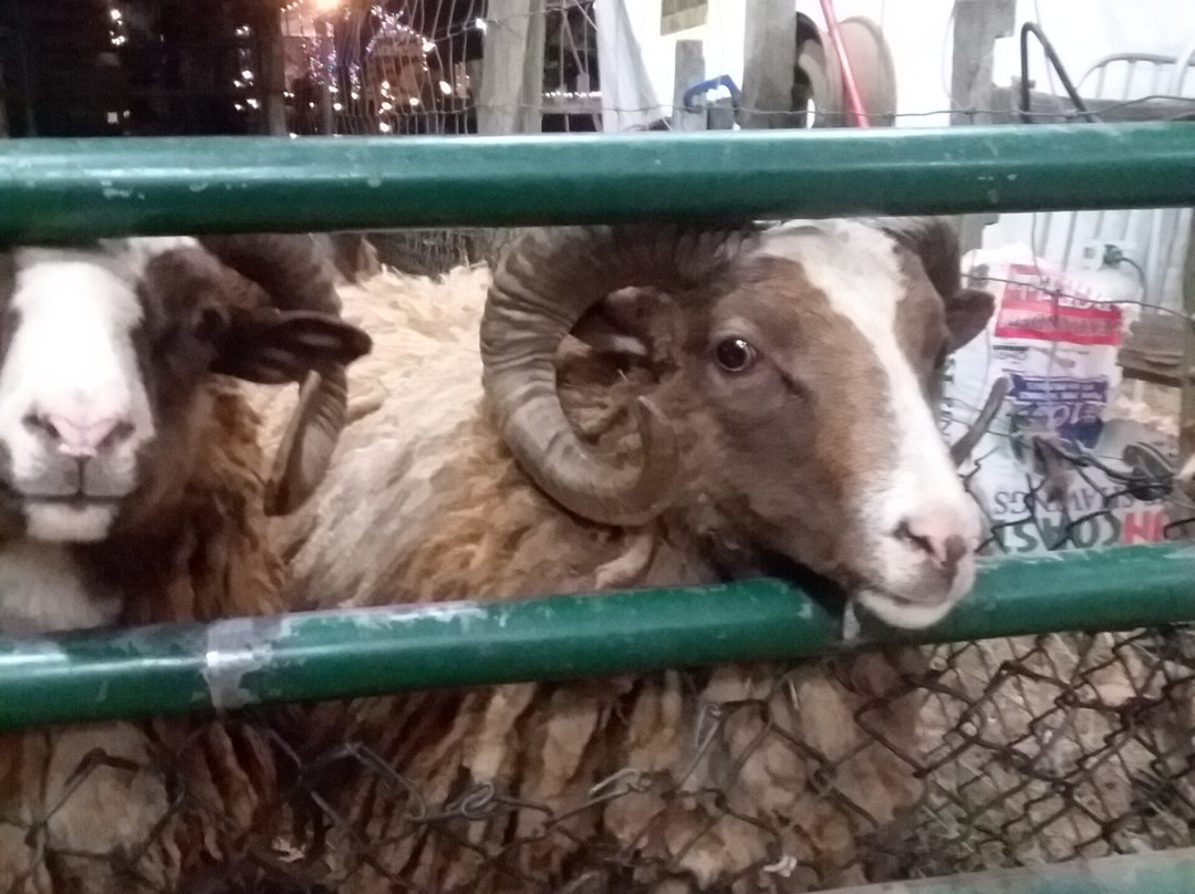 Pettit Creek Farms-Cartersville必去景点