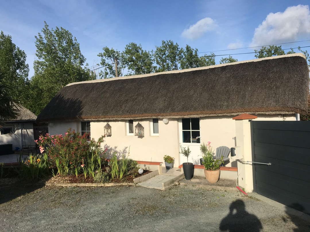 Auxptitsbonheurs主图