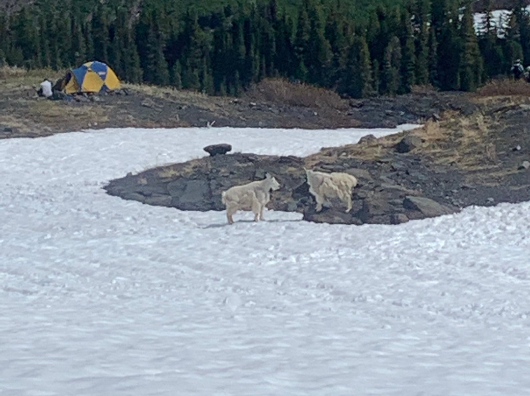 Northwest Alpine Guides-Sedro Woolley必去景点