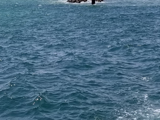 Boogies Glass Bottom Boat-Miramar Beach必去景点