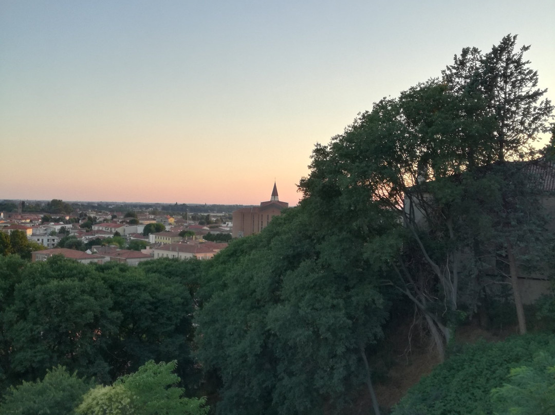 Castello di Monselice景点图片