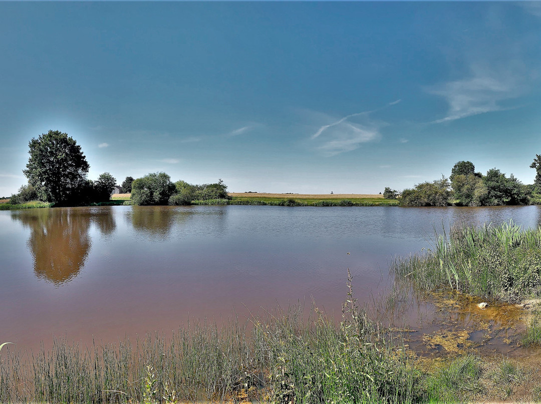 Etang de Beauregard-Le Louroux必去景点
