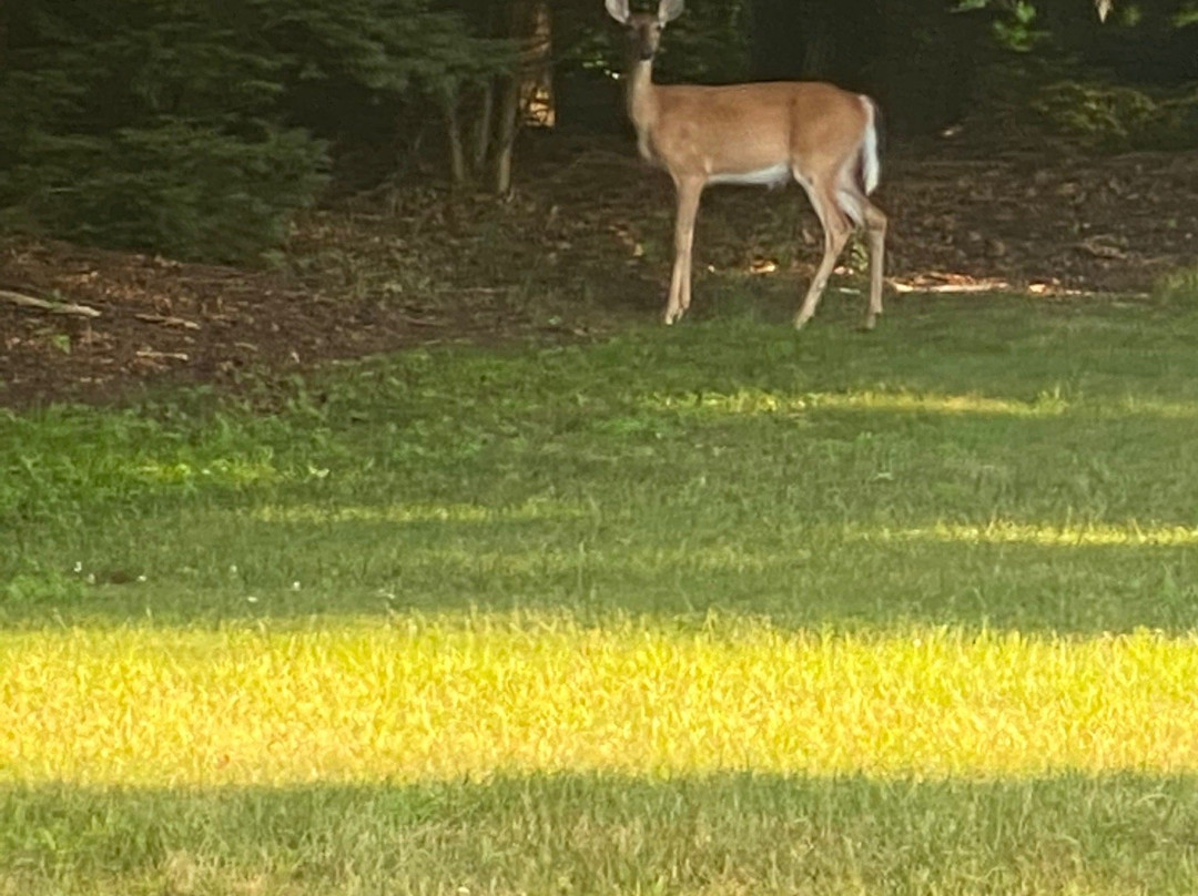 Secret of Saugatuck Suites主图