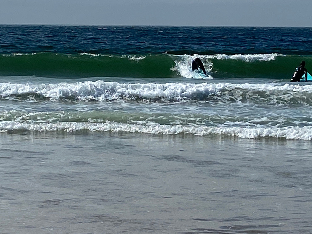 South Bay Surf Lessons景点图片