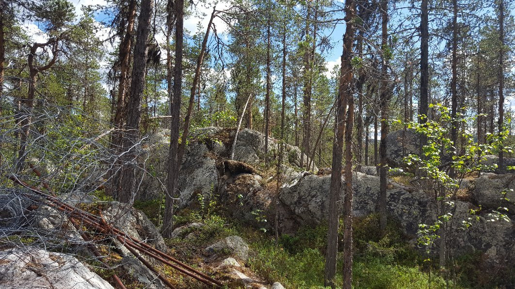 Muddus Nationalpark-Gallivare必去景点