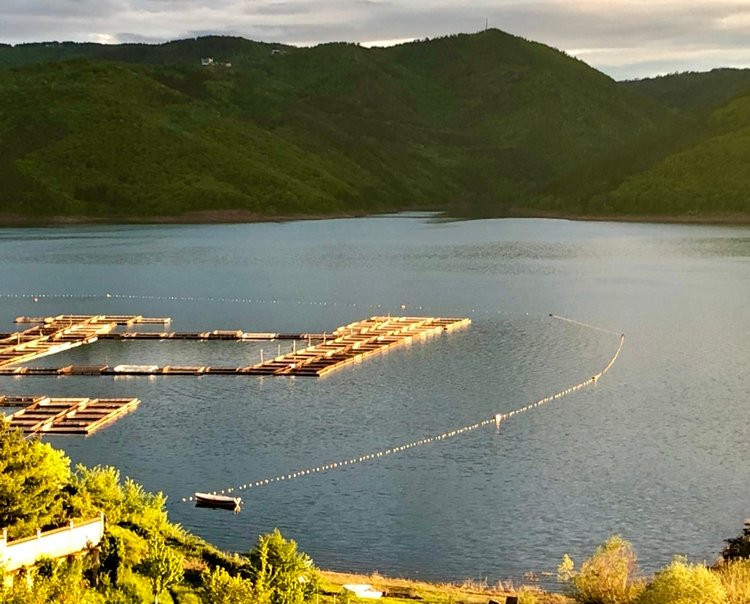 Hotel Saint Konstantin主图