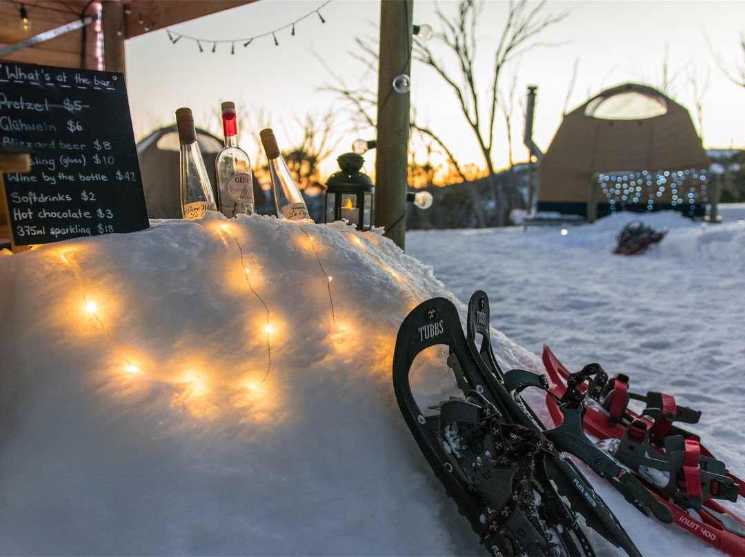 Alpine Nature Experience-Mount Hotham必去景点
