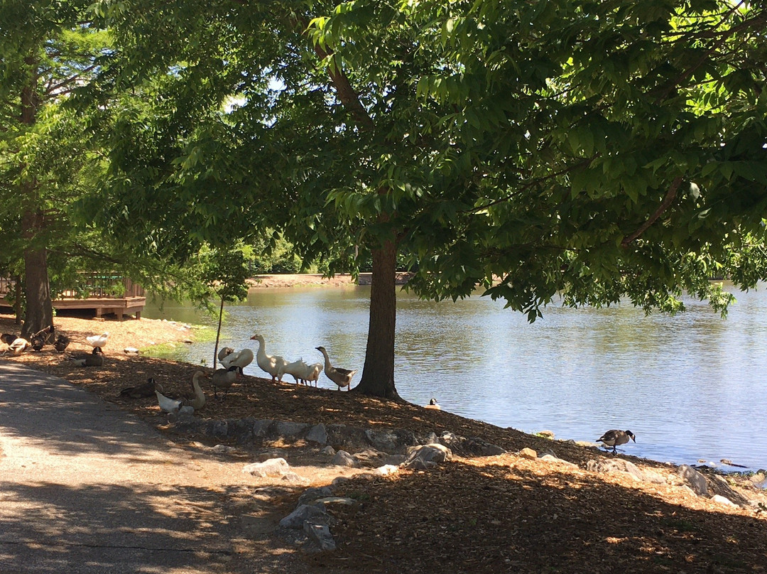 Burdette Park-埃文斯维尔必去景点