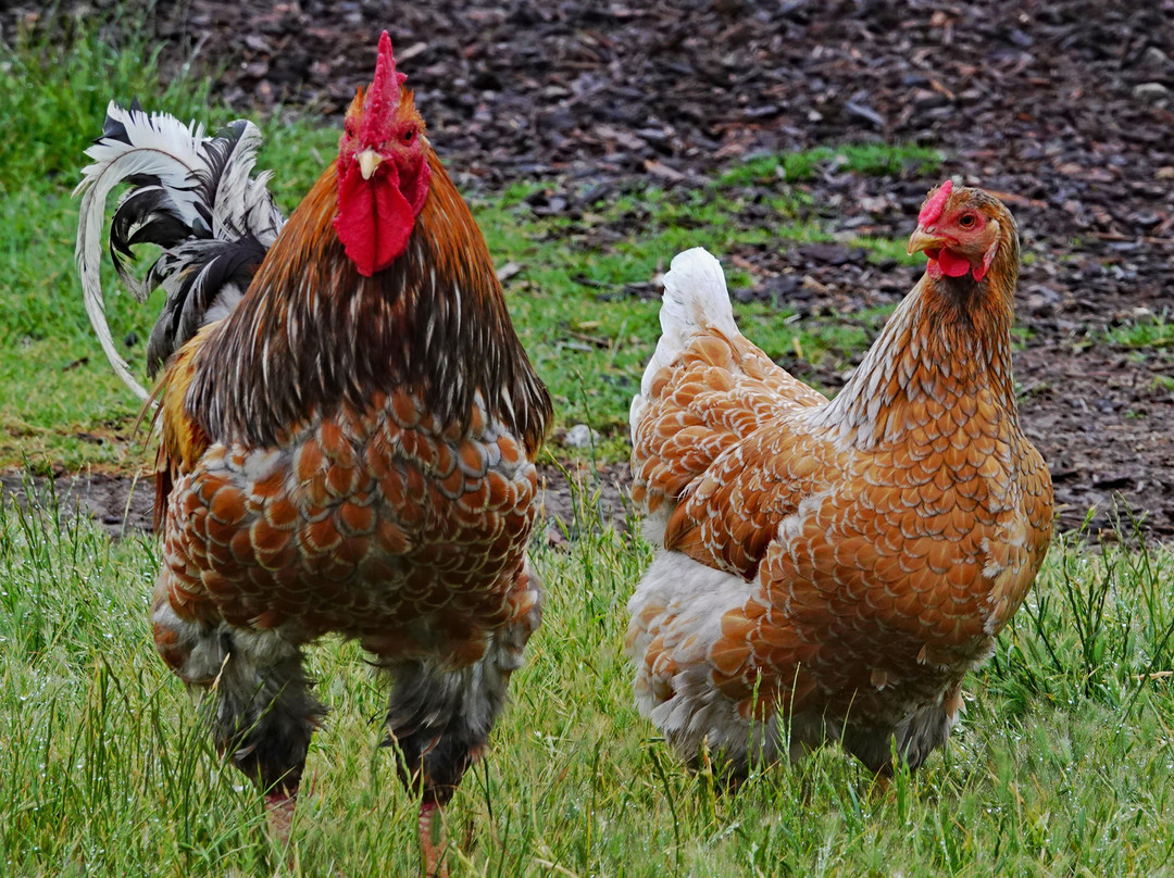 Abbey Road Farm B&B and Winery主图