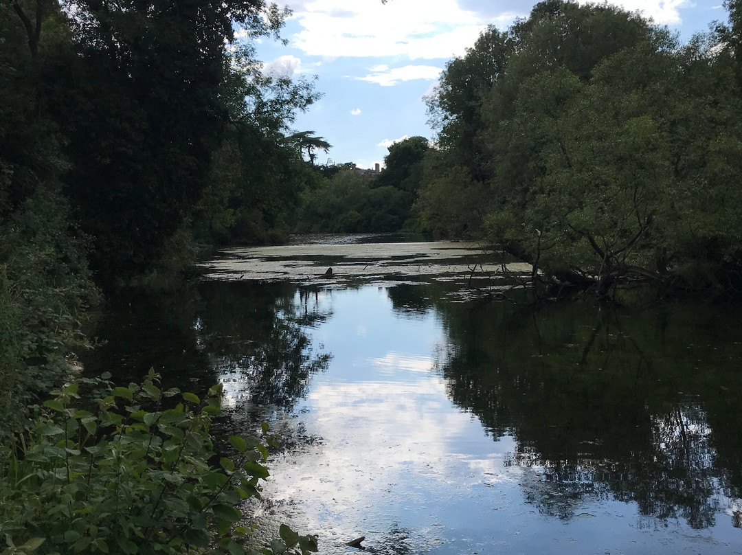 Manor Park Country Park景点图片