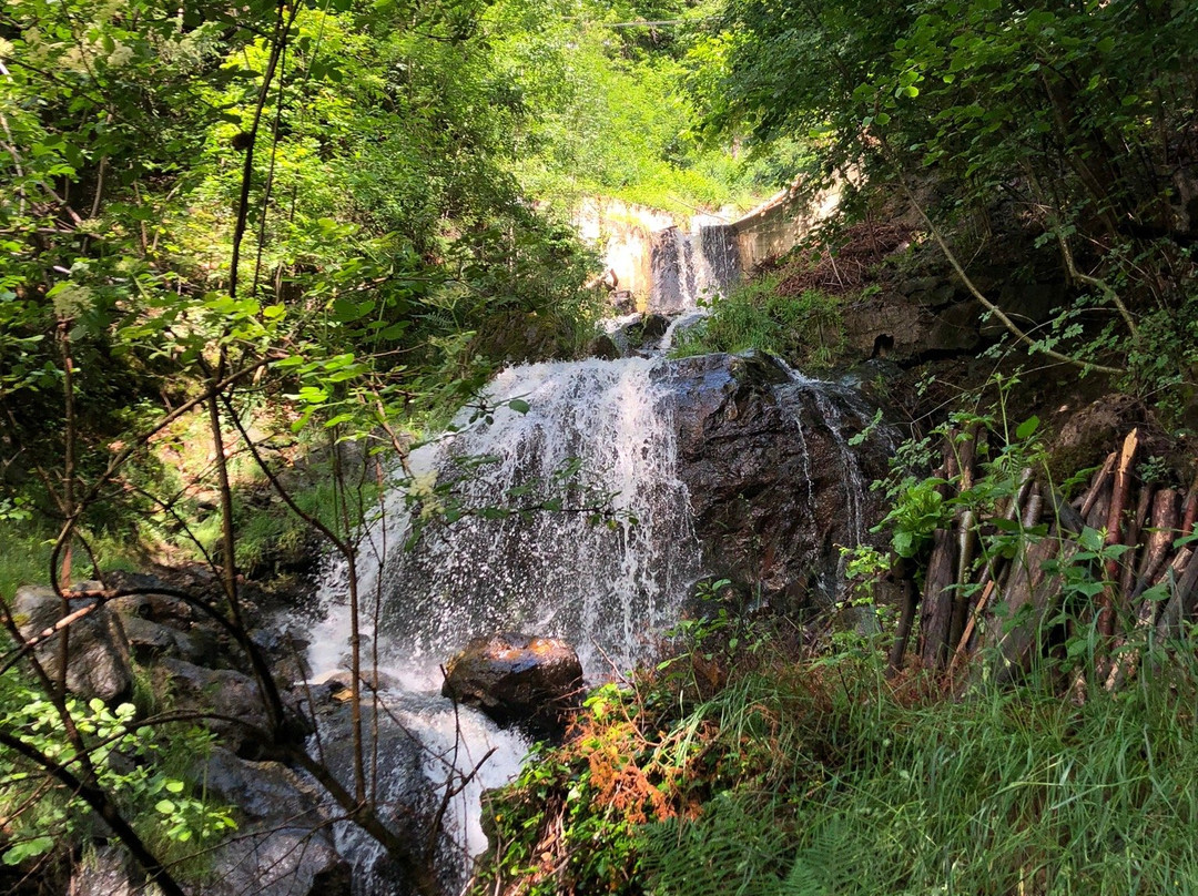 Pension-Residence Gasser主图