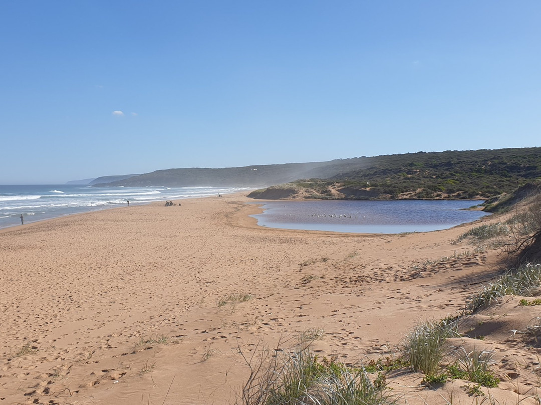 Waitpinga Beach景点图片