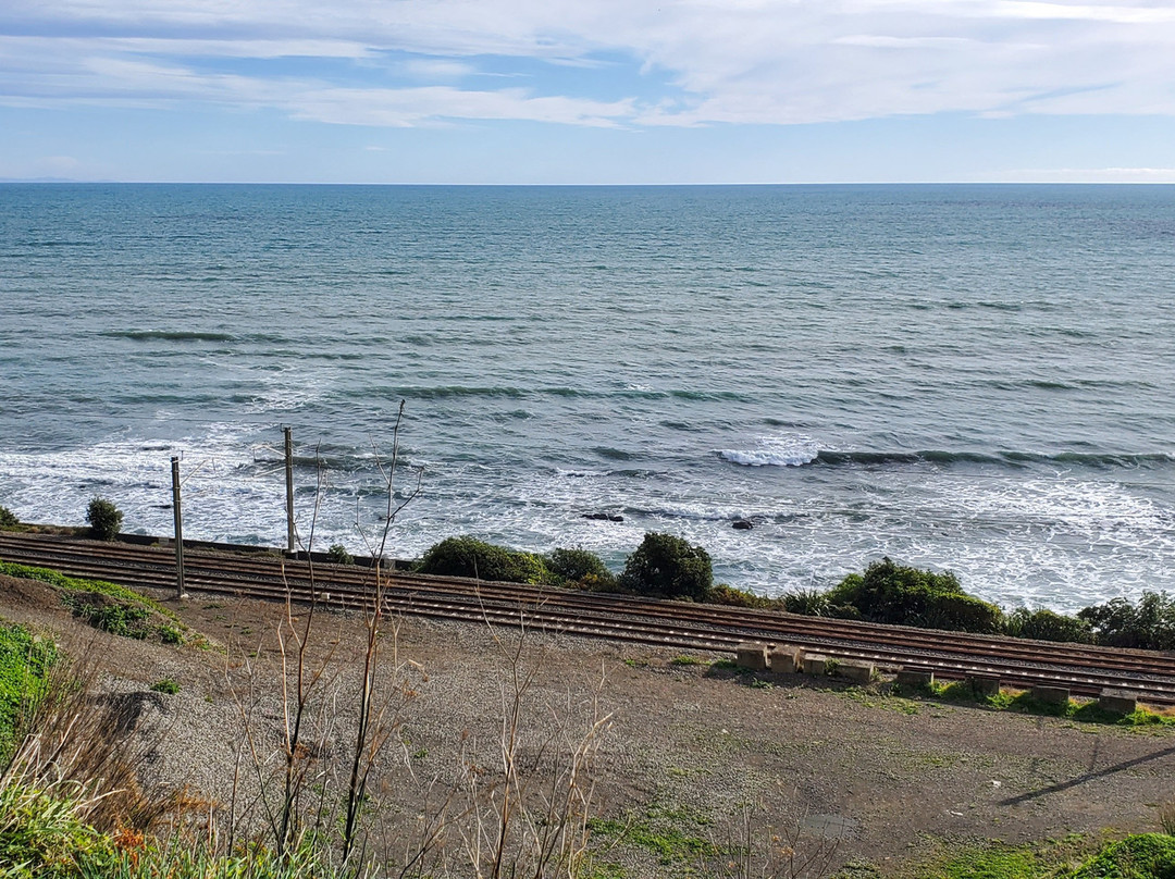 Paekakariki Escarpment Walkway景点图片