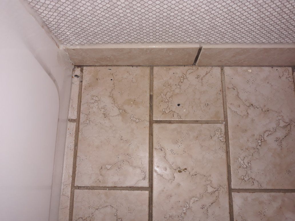 Best Western Inn主图