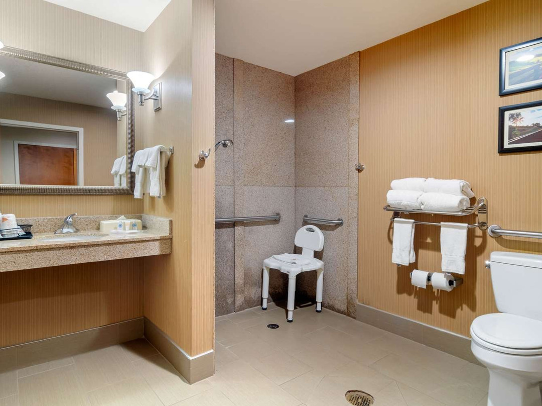 Comfort Suites Byron Warner Robins主图