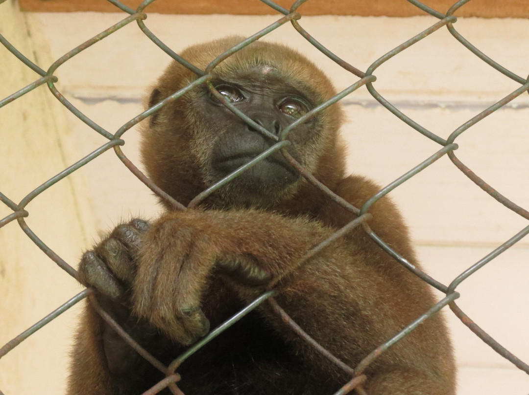 Parque Zoobotânico-Tabatinga必去景点