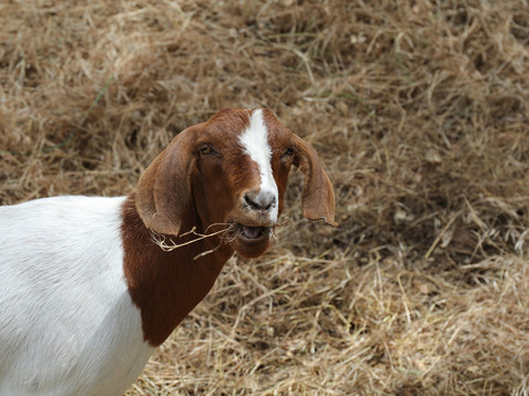 Bannister Park-Fair Oaks必去景点