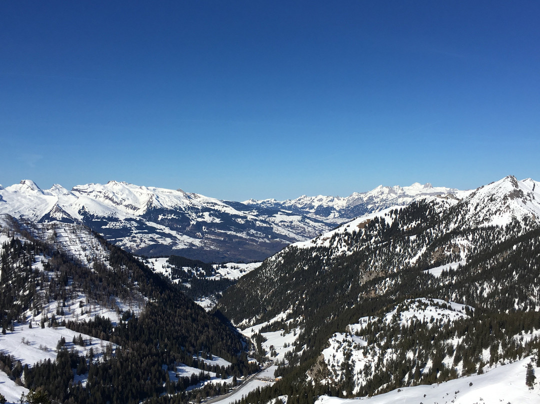 Schneesportschule Malbun-特里森贝格必去景点