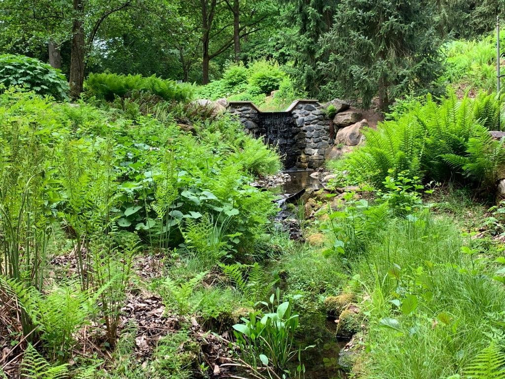 Botanischer Garten-马堡必去景点