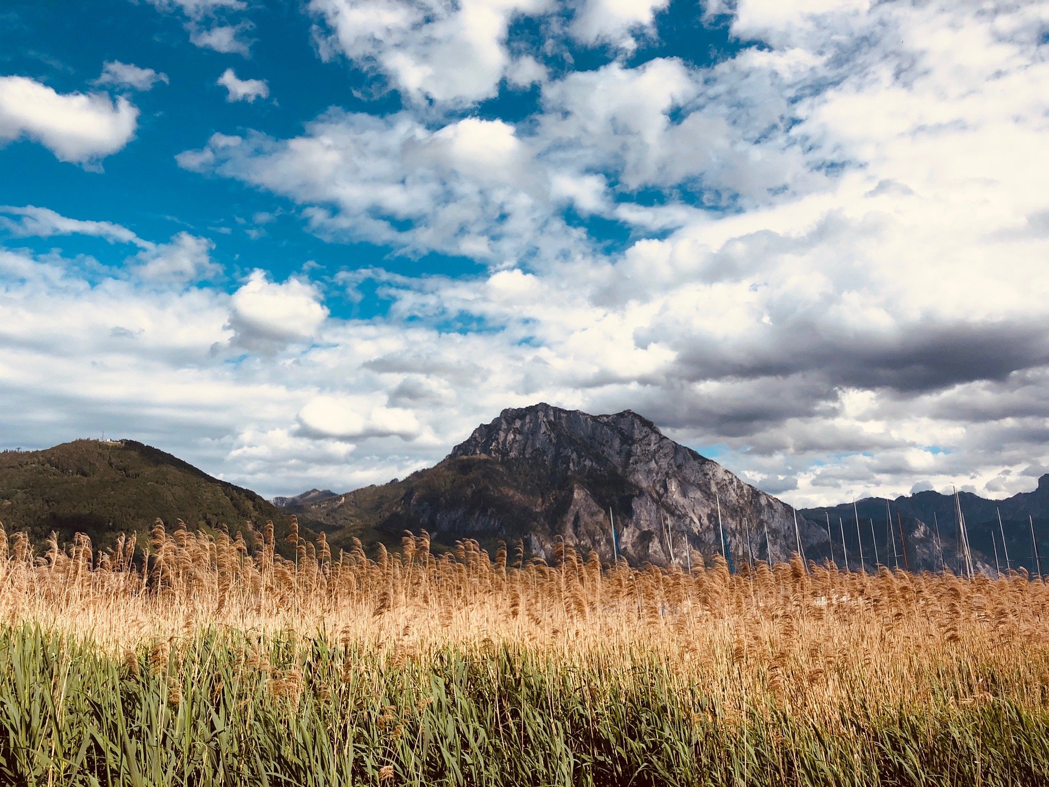 Schweizerhof am See-官方