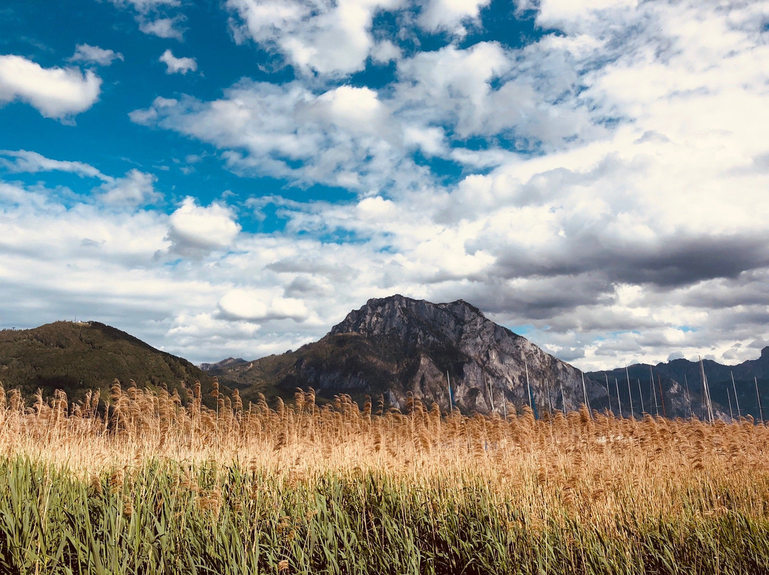 Schweizerhof am See主图
