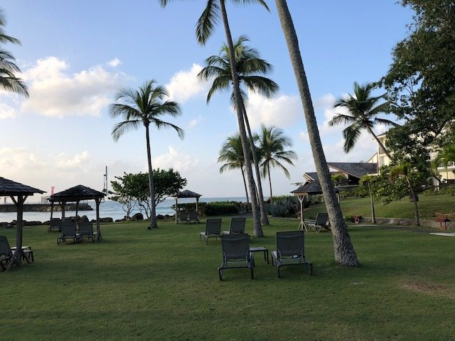 La Créole Beach Hôtel & Spa主图