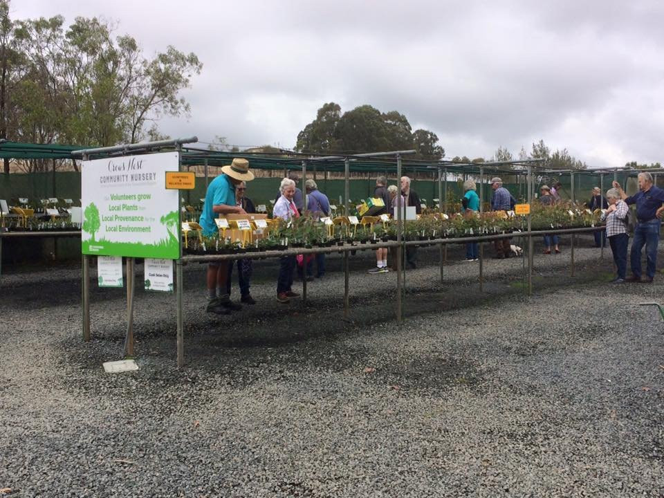 Crows Nest Community Nursery - Native Specialists-Crows Nest必去景点