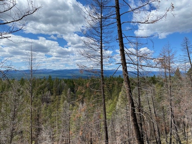 Kootenai National Forest-Libby必去景点