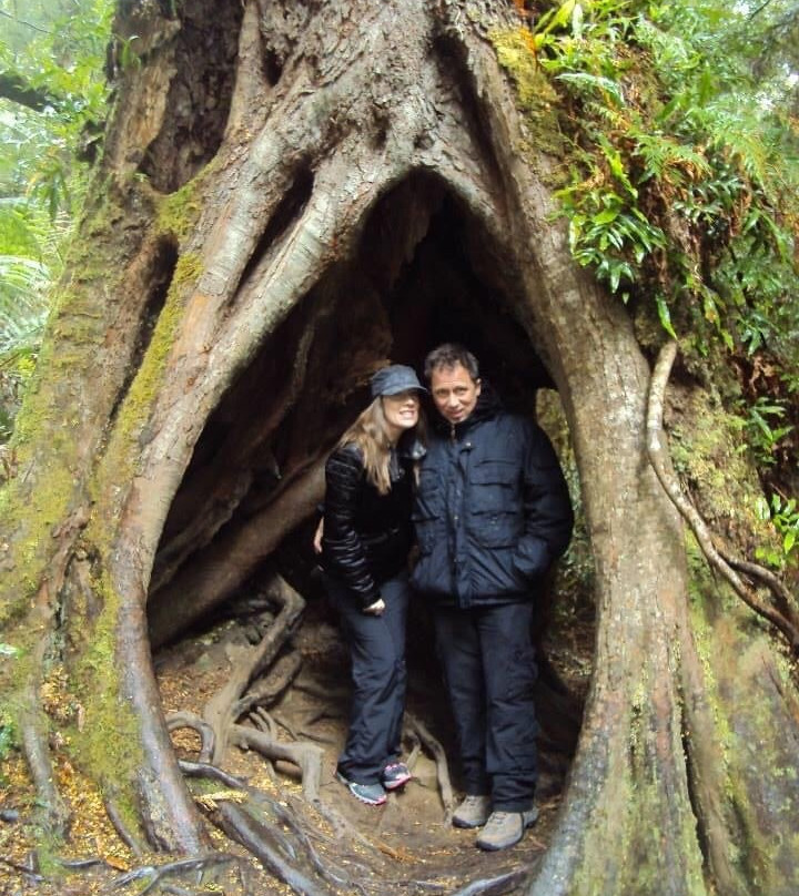 Great Otway National Park景点图片