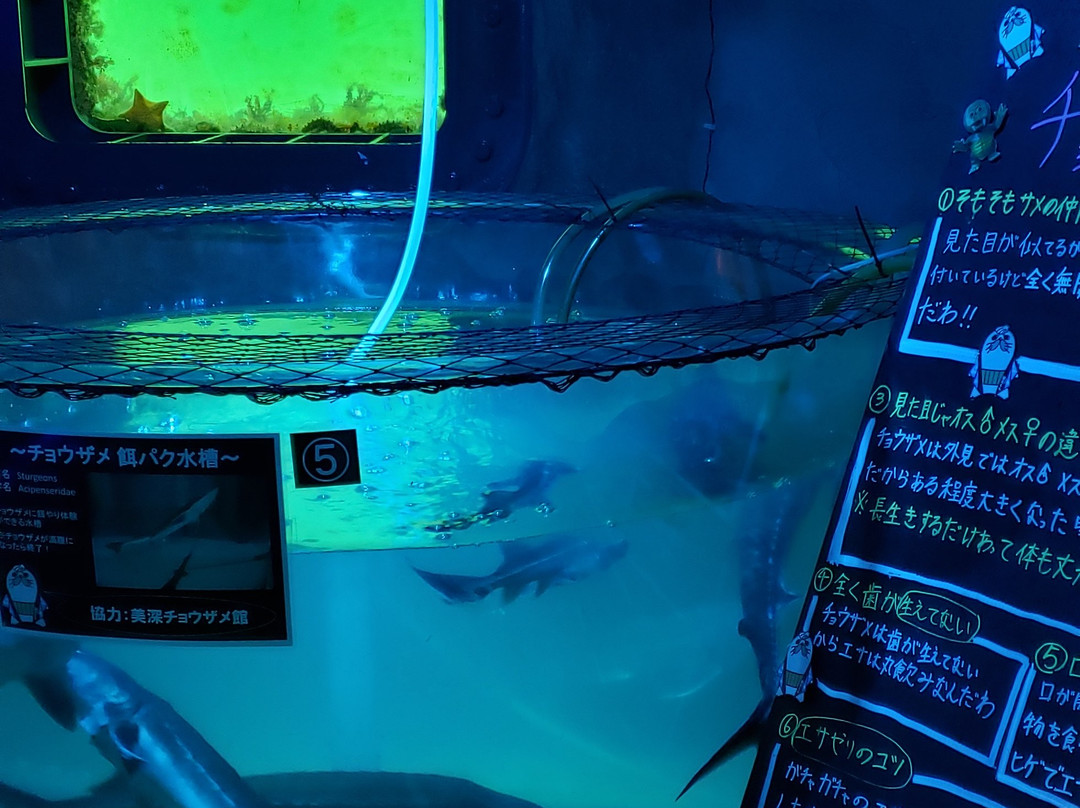 鄂霍茨克塔-纹别市必去景点