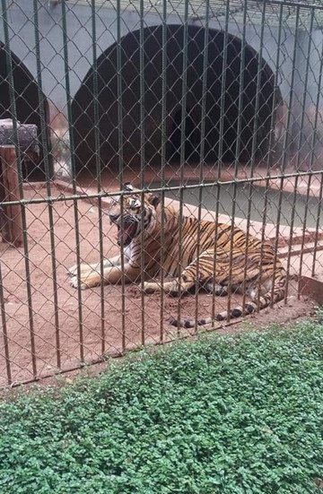 Zoologico Municipal de Sao Jose do Rio Preto-普雷图河畔圣若泽必去景点
