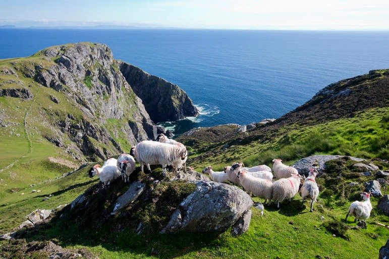 Atlantic Way Experience