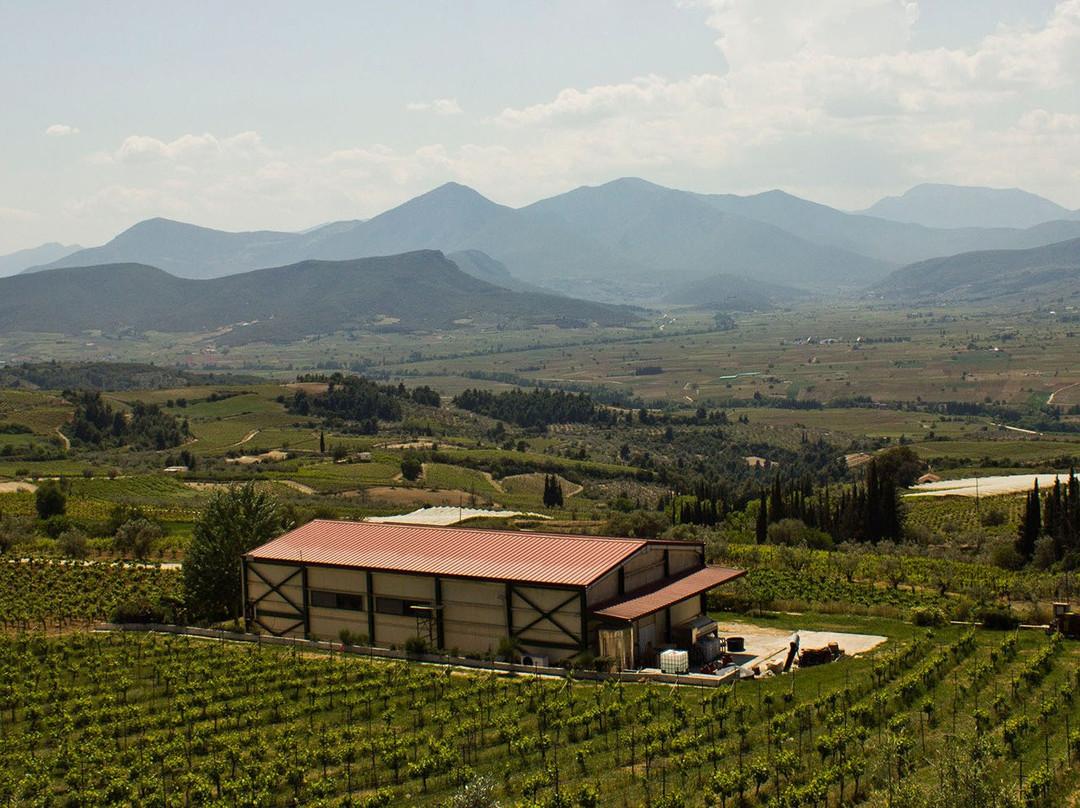Wisdom of Nature-Nemea必去景点