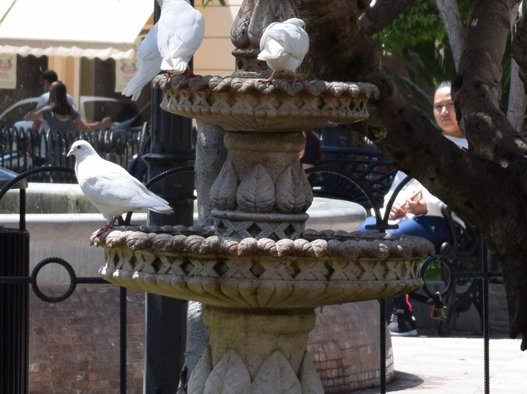 Plaza de Espana-阿吉拉斯必去景点