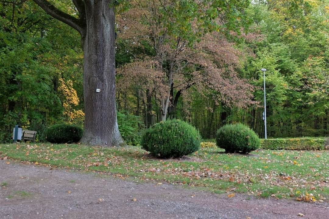 Kurpark-Helmstedt必去景点