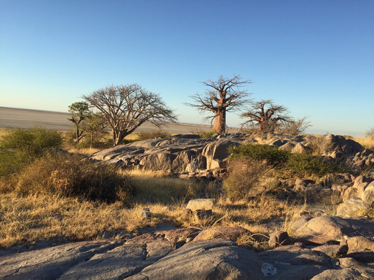 Makwela Transfrontier Safaris-比勒陀利亚必去景点