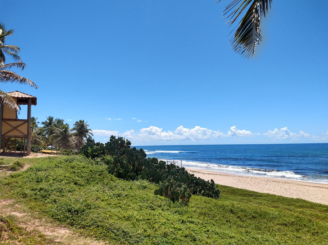 Stella Maris Beach-萨尔瓦多必去景点
